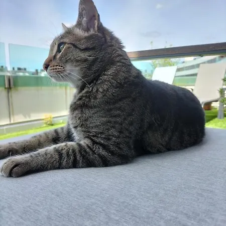 Privatunterkunft Preciosa Habitacion Doble En Atico Con Terraza Ii