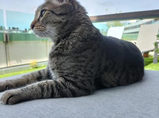 民宿 Preciosa Habitacion Doble En Atico Con Terraza Ii